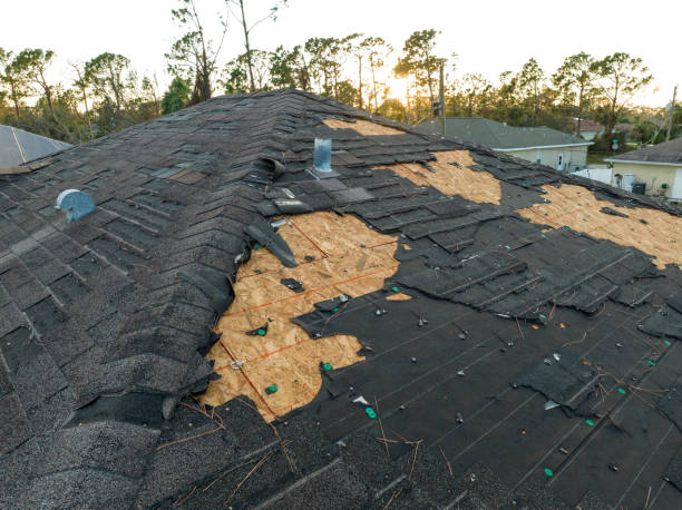 Best Roof Maintenance and Cleaning  in Salisbury, NC